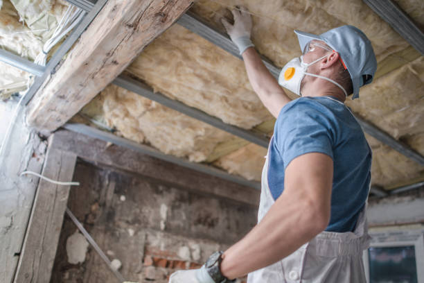 Best Commercial Insulation in City View, SC