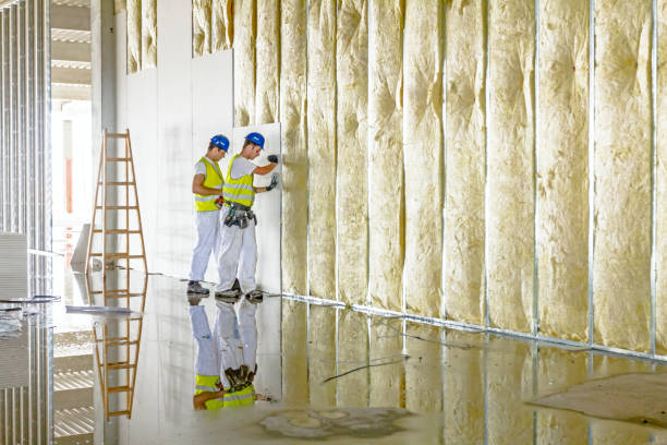 Best Eco-Friendly Insulation in City View, SC